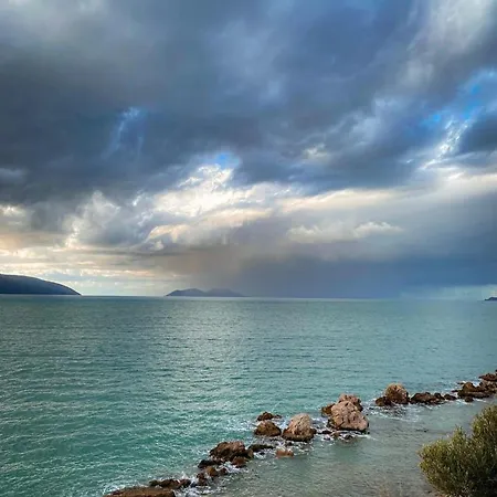 Hotel Blue Orchidea Vlore
